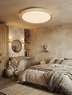 Ceiling Lights 5