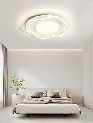 Ceiling Lights 8