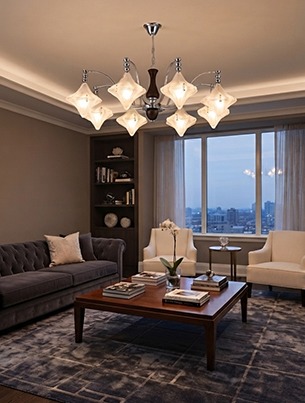 Chandelier 11